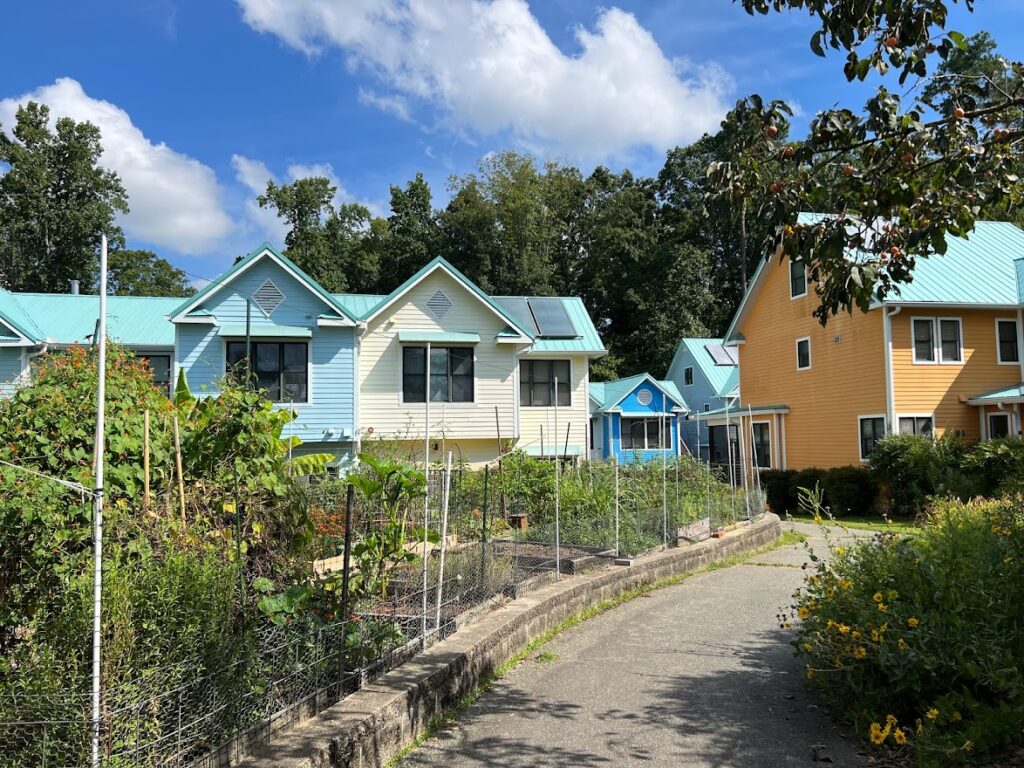 Our big garden